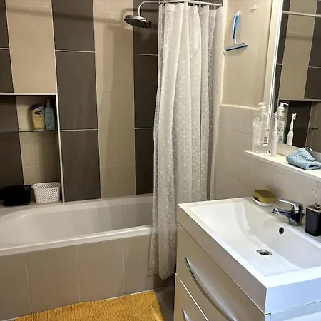 Apartamento Coloc Cursat - Green